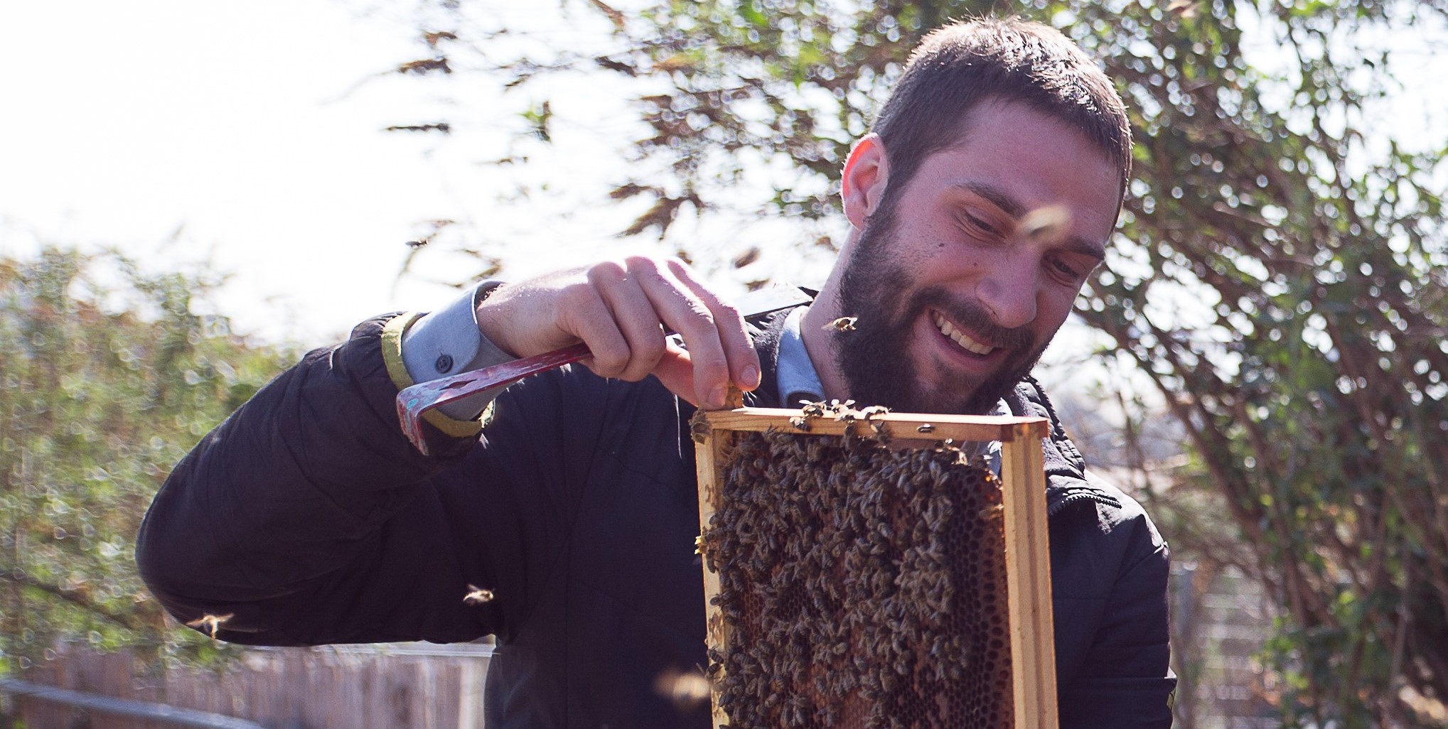 Bienenwabe_David Gerstmeier